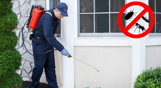 Patnos Böcek ve Haşere İlaçlama böcek ilaçlama ve haşere kontrolü — ilaclama-tr.com